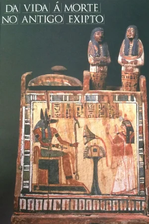 Captura-de-pantalla-2021-05-19-a-las-10_.webp
